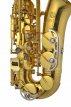 SA_JASSTRQ Jupiter JASSTRQ Stellar alt saxofoon