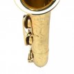 ST_SAXOSGG Selmer Axos tenor saxofoon